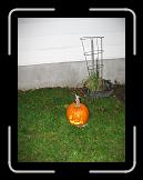 Thanksgiving and Halloween 099 * 2272 x 1704 * (1.96MB)